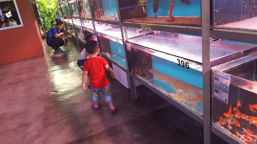 Chew Thean Yeang Aquatic & Pet