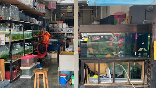 Kim Yik Aquarium