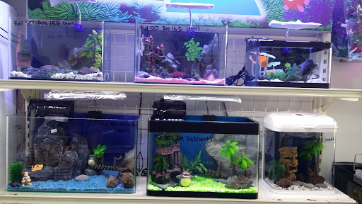 Vwin Aquarium & Pets Trading