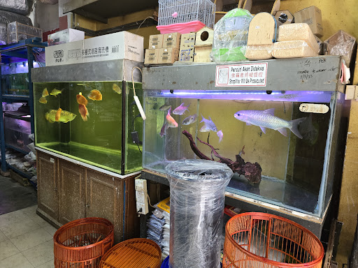 Double Two Aquarium