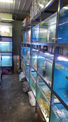 Aquarium Seberang Jaya