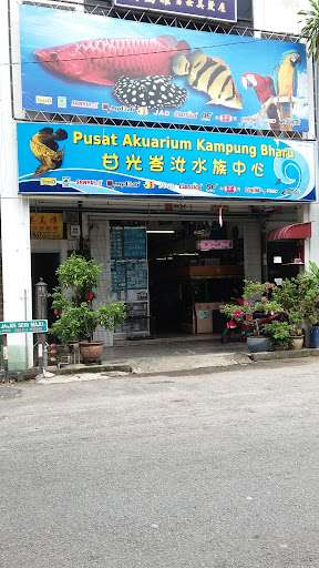 Pusat Akuarium Kampung Bharu