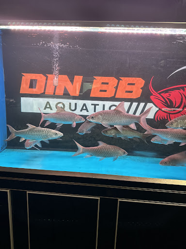 Din bb Aquatic