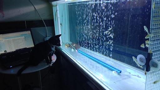 SG Logical Enterprise