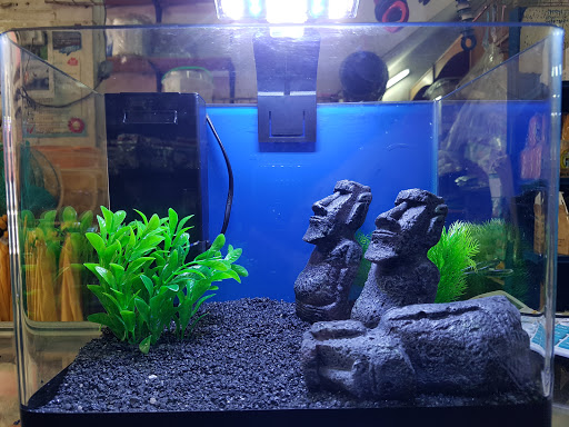 Semenyih Aquarists & Pet Corner