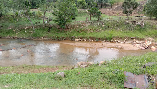 Port Mancing Exotic Aquarium