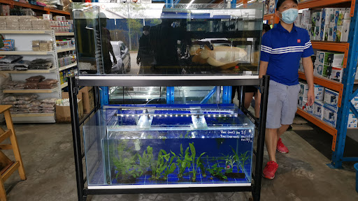 Wang Wang aquarium & Pets