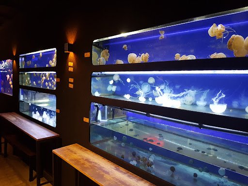 Aqua Sentinel Ventures Sdn Bhd