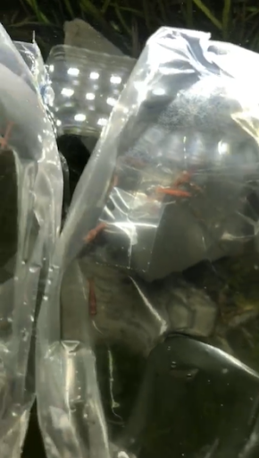 QM Wellness (M) SDN BHD