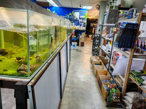 Makkau Reptile • Hybrid Zone