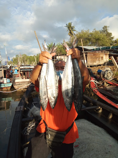 Ikan Baru Naik Batu Laut