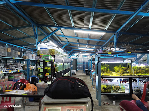 Kedai Ikan & Umpan Kemaman LD AquaStore Kedai Ikan & Umpan Kemaman LD AquaStore