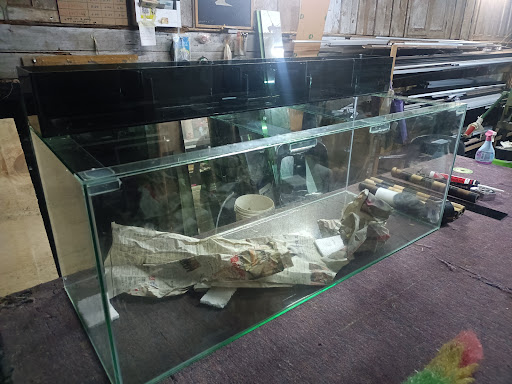 Aquarium murah Terengganu
