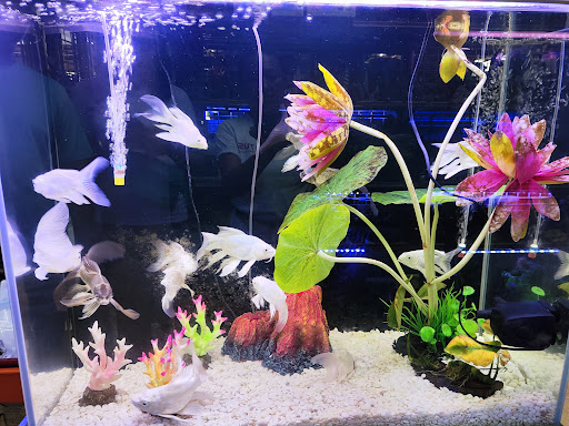 Ming Yu Two Aquamarin Sdn. Bhd.