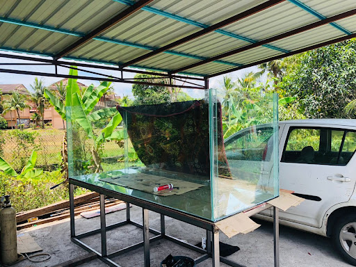 Seraff Aquarium Custom