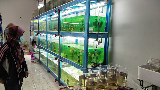 Bubble's Aquatic and Pets Studio