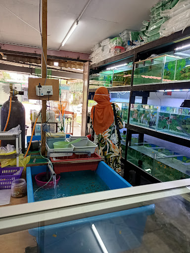 Tepoh Petshop and Aquarium