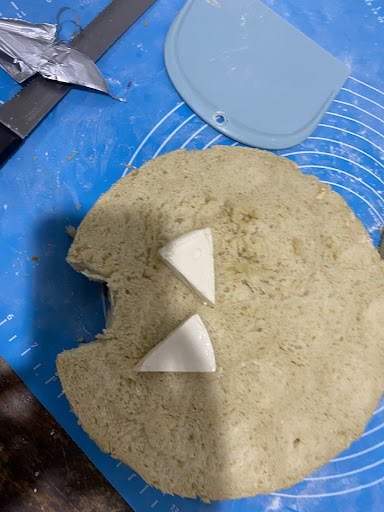 D-Bj Lovely Bird's & Aquarium Shop