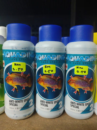 C3 BETTA C3 BETTA