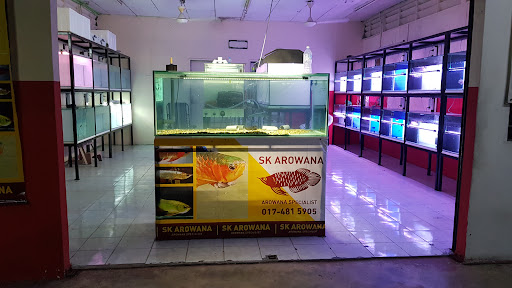 SK Arowana kedai ikan hiasan & akuarium