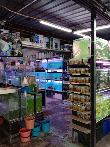 Aquarium Seberang Jaya