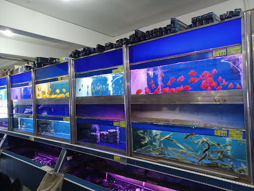 Xian Leng Aquatic Merchant Sdn Bhd Xian Leng Aquatic Merchant Sdn Bhd