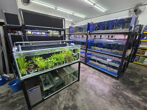 FISH DATING AQUARIUM(M) SDN BHD 鱼您有约水族器材有限公司
