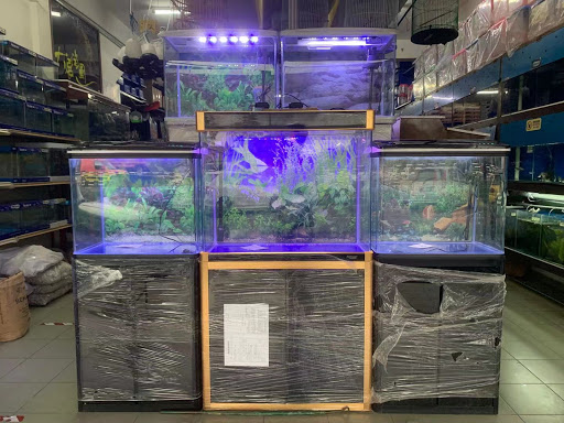 Pusat Akuarium Ah Huat