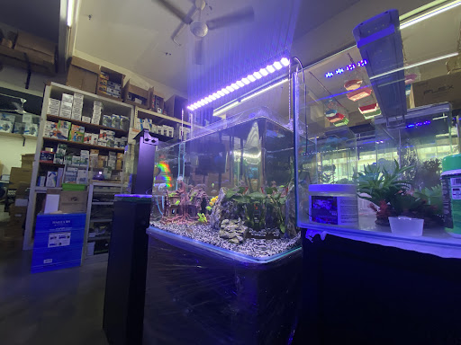 3B Aquatics Aquarium Shop Bandar Baru Bangi