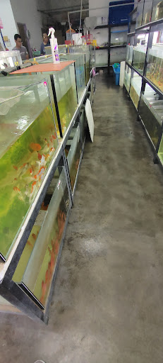 TENG FISH AND PET SHOP