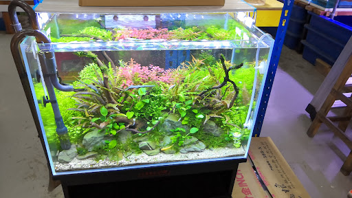 Taipan Aquarium Taipan Aquarium