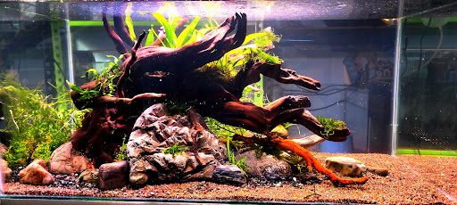 AEL AQUATICS NATURE HOUSE