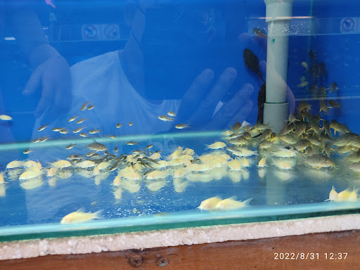 Taipan Aquarium