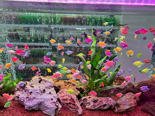 Harvest Fish & Pet SDN BHD