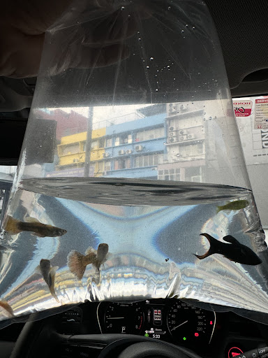 SHUNXIN MARKET AND AQUARIUM