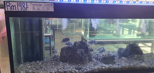 Tong Yi Aquarium