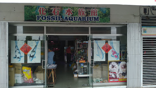 Fossil Aquarium