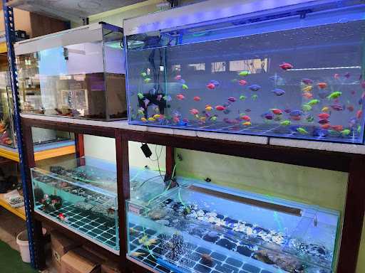 Tien Foo Aquarium