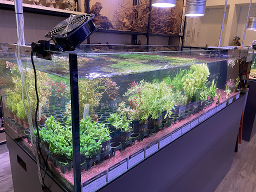 The Nature Aquastore Sdn Bhd The Nature Aquastore Sdn Bhd