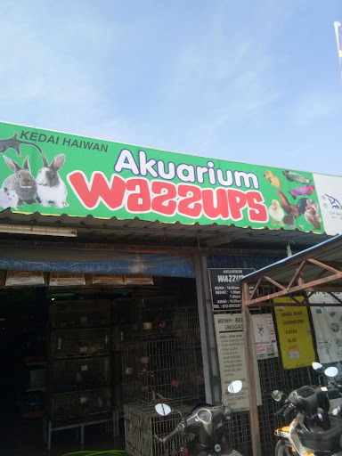 Akuarium Wazzups