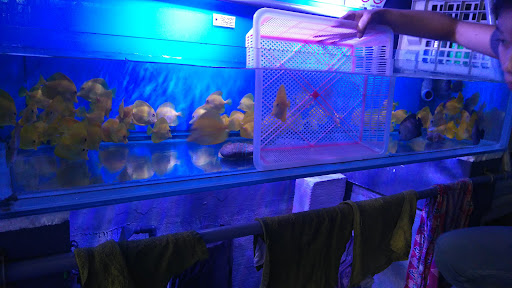 Akuarium Batu Karang Laut Sdn Bhd (Wholesale only)