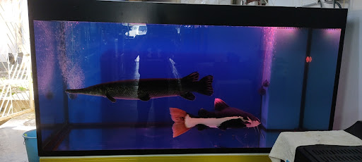 Leng Loong Pet & Aquarium Shop