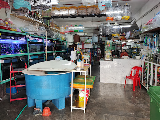 Kedai Akuarium Dan Ikan Wah Hin