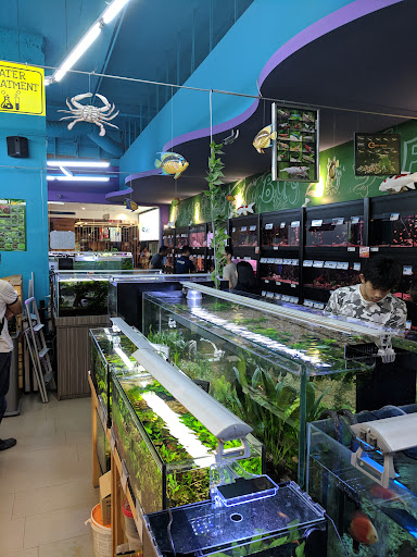 Nilufar Pet & Aquatic