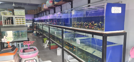 UNICUS Aquapet Enterprise