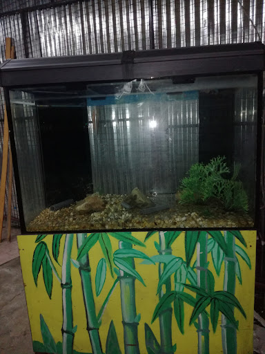 Aquarium Kim Yun