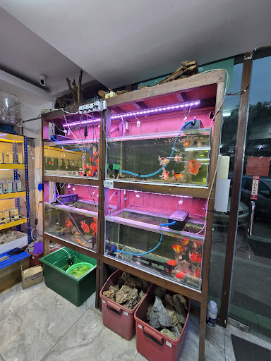 Straits Aquatic Center