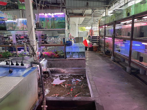 Aquarium Sungai Pelek