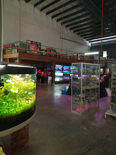 Tan Brothers Aquatic Trading Co.