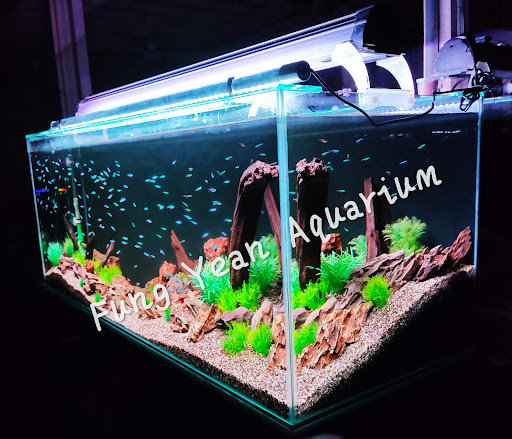 Fung Yean Aquarium